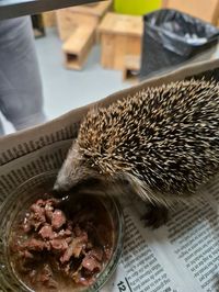 Gerda aan het eten